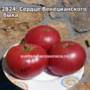 Сердце Венецианского быка ( Cuore di bue Veneziano)