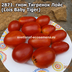 Гном Тигренок Лойс  (Lois Baby Tiger)