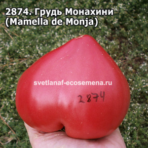 Грудь Монахини  (Mamella de Monja)