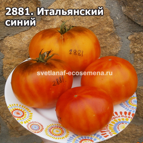 Итальянский синий (Italian blue)