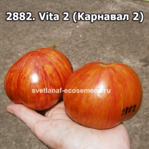  Vita 2 (Карнавал 2)