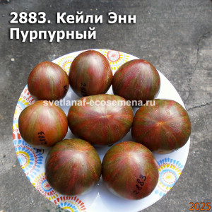 Кейли Энн Пурпурный