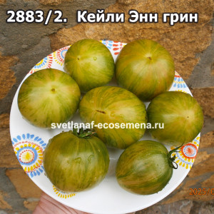 Кейли Энн грин