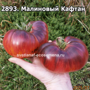 Малиновый Кафтан