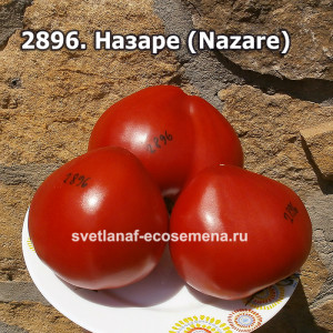 Назаре (Nazare)