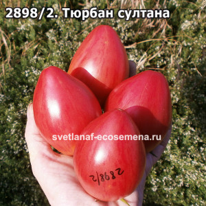 Тюрбан султана
