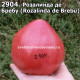 Розалинда де Бребу (Rozalinda de Brebu)