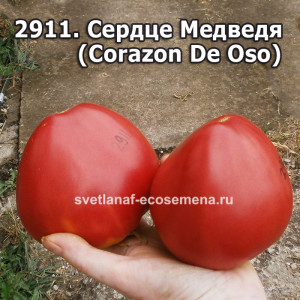 Сердце Медведя (Corazon De Oso)