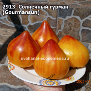 Солнечный гурман (Gourmansun)