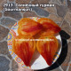 Солнечный гурман (Gourmansun)