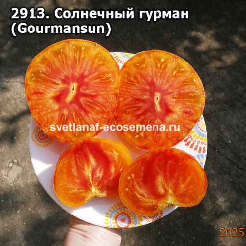 Солнечный гурман (Gourmansun)