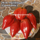Пылающий (Fiammante)