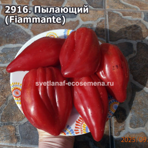 Пылающий (Fiammante)