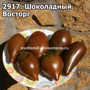 Шоколадный Восторг