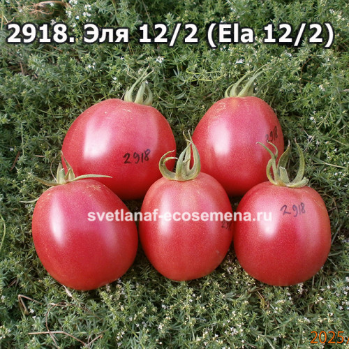 Эля 12/2 (Ela 12/2)