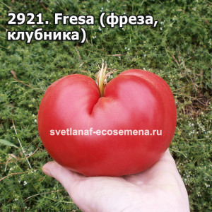 Fresa (фреза, клубника)