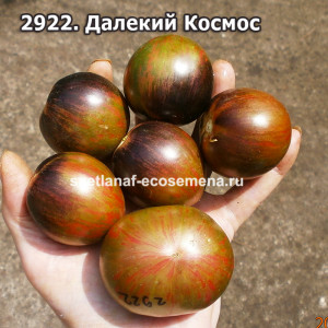 Далекий Космос