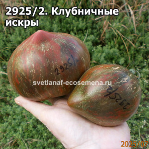 Клубничные  искры