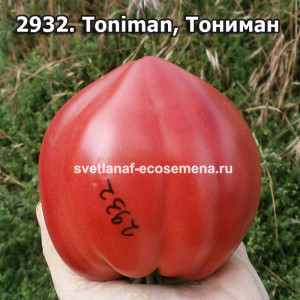 Тониман (Toniman) 