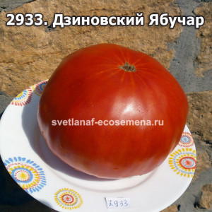 Дзиновский Ябучар (Dzinovski Paradajz Jabucar)