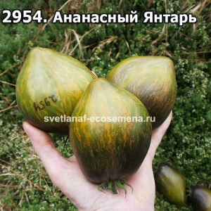 Ананасный Янтарь