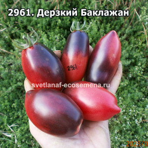 Дерзкий Баклажан