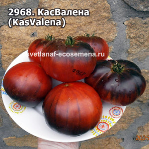 КасВалена  (KasValena)