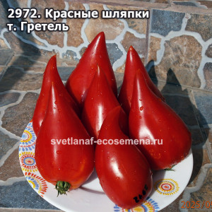 Красные шляпки тетушки Гретель