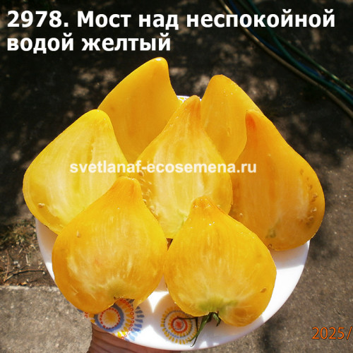 Мост над неспокойной водой желтый