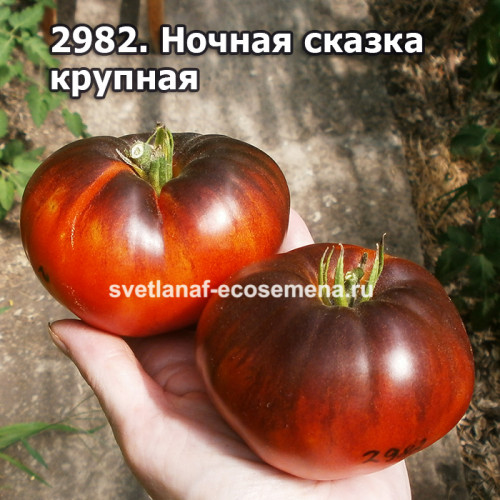 Ночная сказка крупная