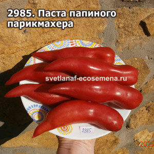 Паста папиного парикмахера