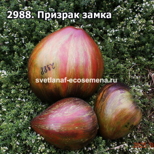 Призрак замка