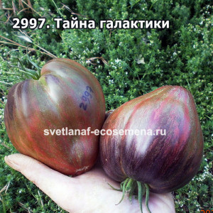 Тайна галактики