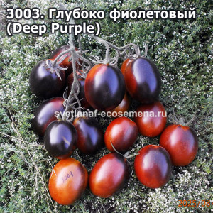Глубоко фиолетовый  (Deep Purple)