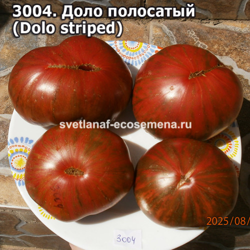Доло полосатый (Dolo striped)
