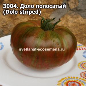 Доло полосатый (Dolo striped)