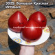 Большая Красная Испанка (Big Red Spaniard)