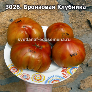 Бронзовая Клубника