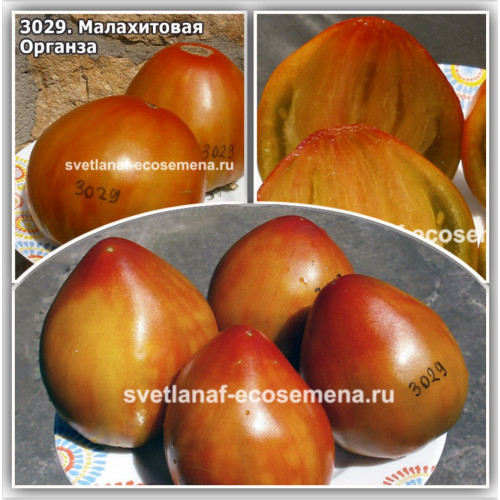 Малахитовая Органза