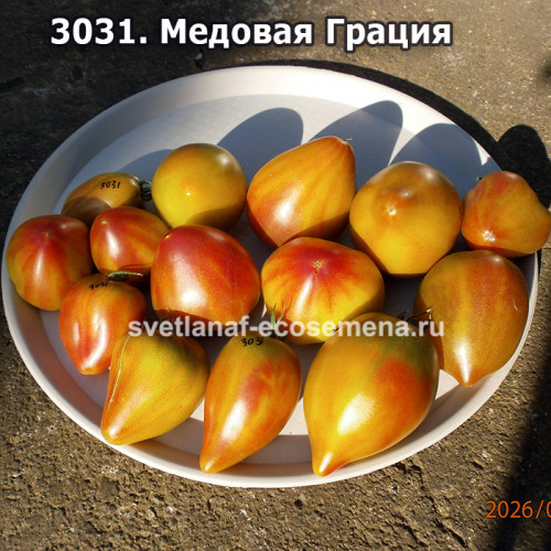 Медовая Грация