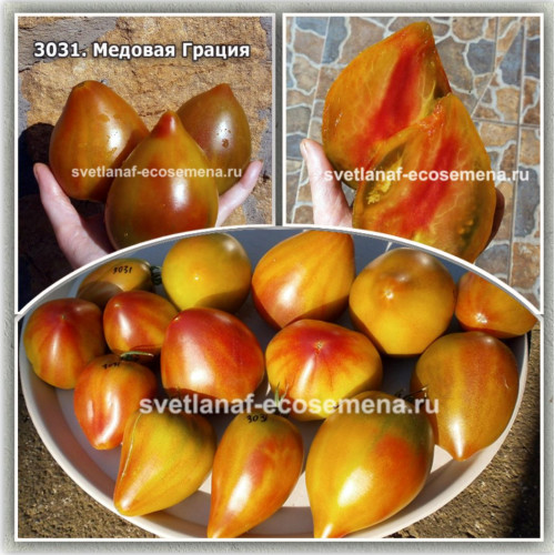 Медовая Грация