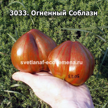 Огненный Соблазн