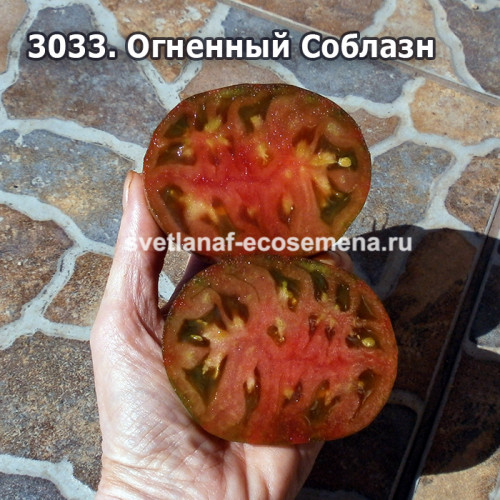 Огненный Соблазн (Fiery Temptation)