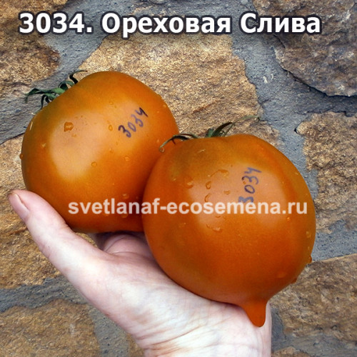 Ореховая Слива