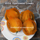 Ореховая Слива