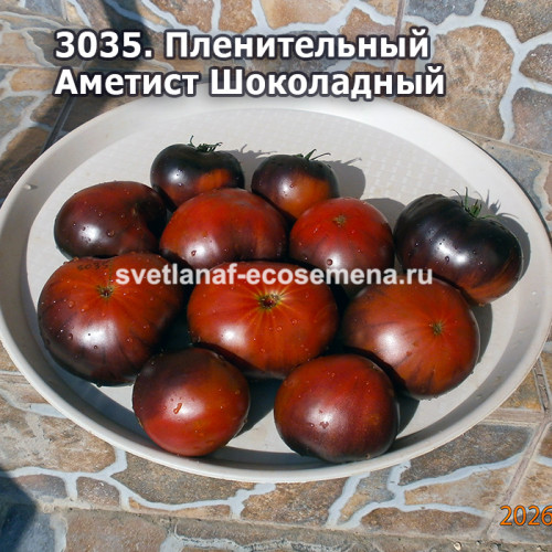 Пленительный Аметист Шоколадный