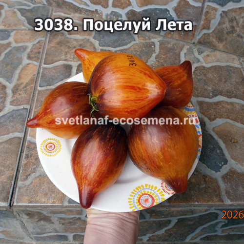 Поцелуй Лета
