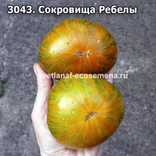 Сокровища Ребелы (Rebella's Treasures)