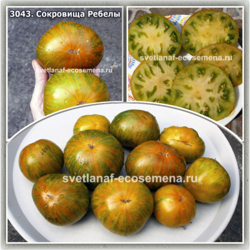 Сокровища Ребелы (Rebella's Treasures)