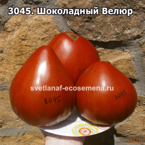 Шоколадный Велюр